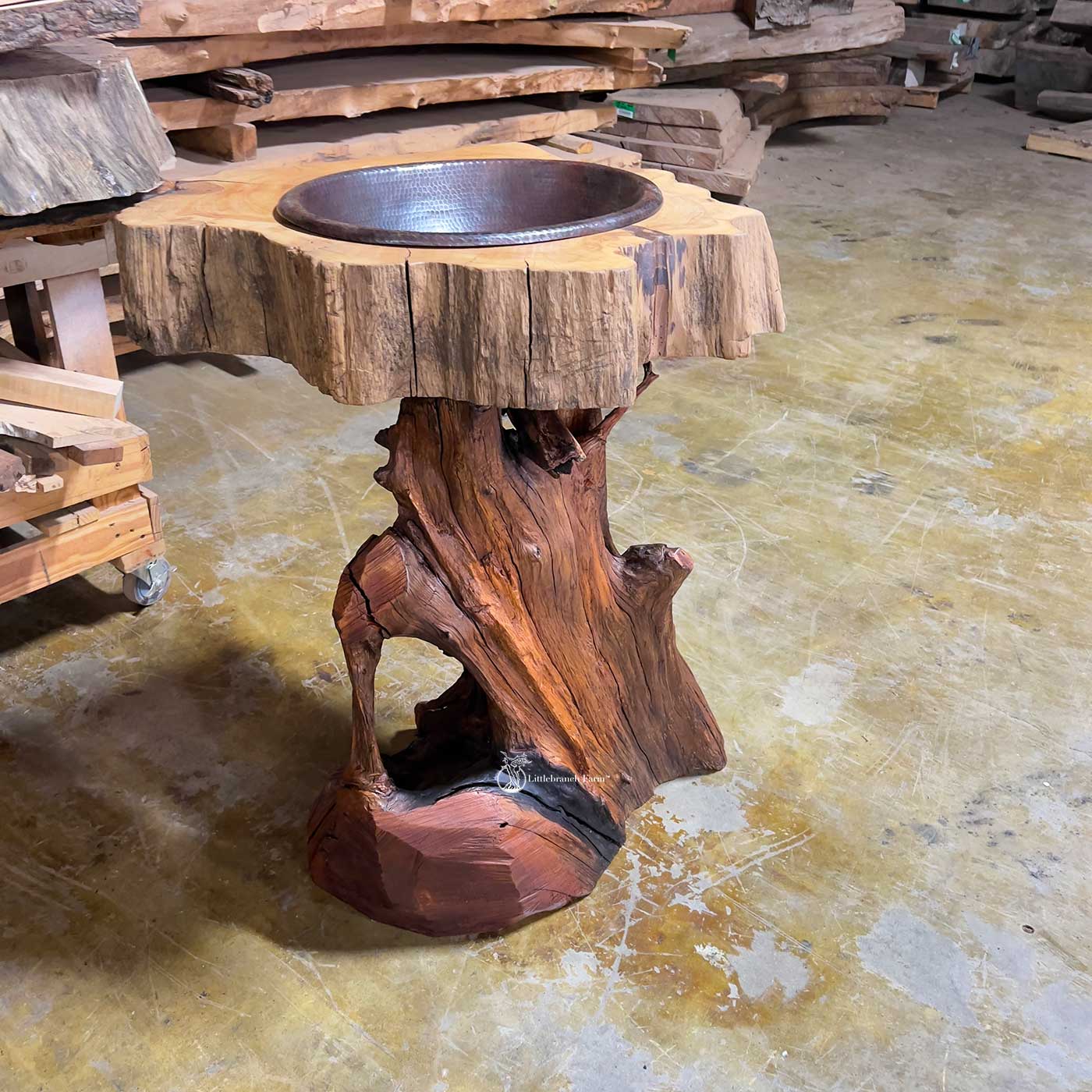 Sinker cypress tree stump vanity with end-grain wood countertop.